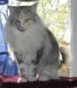 06050901_raissa.jpg
