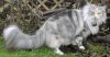 06050901_raissa.jpg