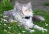 06050901_raissa.jpg