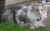06050901_raissa.jpg