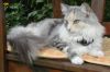 06050901_raissa.jpg