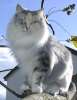 06050901_raissa.jpg