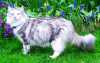 06050901_raissa.jpg