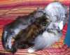 06050901_raissa.jpg