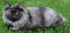 06050901_raissa.jpg