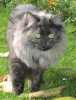 06050901_raissa.jpg