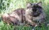 06050901_raissa.jpg