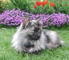 06050901_raissa.jpg