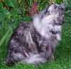 06050901_raissa.jpg