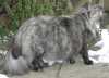 06050901_raissa.jpg