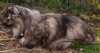 06050901_raissa.jpg