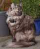 06050901_raissa.jpg
