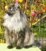 06050901_raissa.jpg