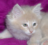 2014020908_hakon_t.jpg