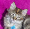 2014020912_heidi_t.jpg