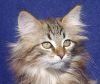 2014020912_heidi_t.jpg